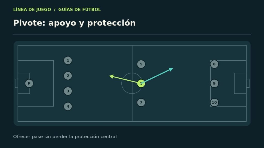 Esquema explicativo: pivote: apoyo y protección